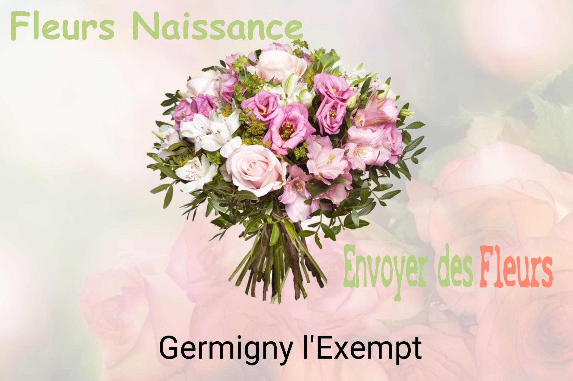 Bouquet de fleurs de naissance livré à Germigny-l'Exempt